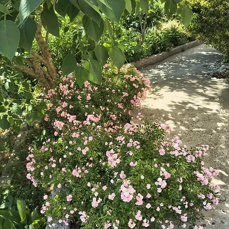 Dea Apartment Trebinje